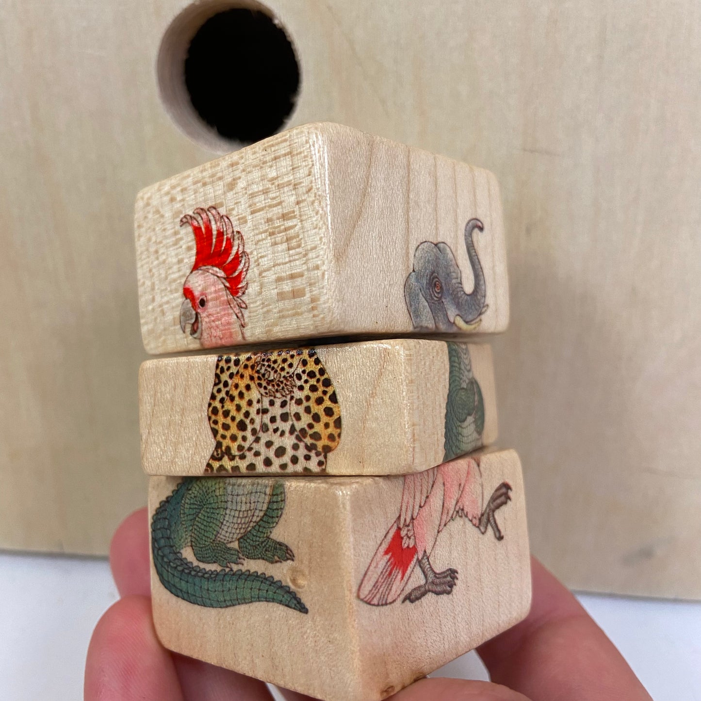 Twist Animal Toy