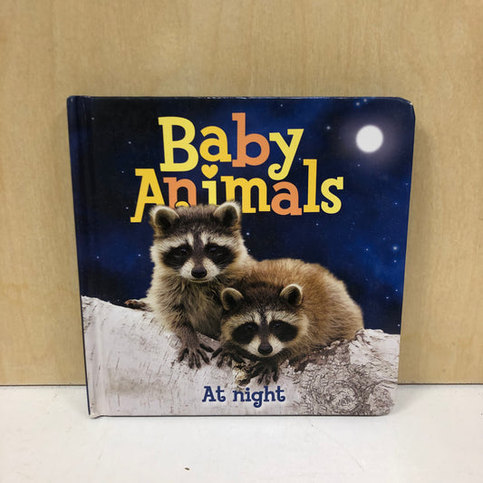 Baby Animals at Night