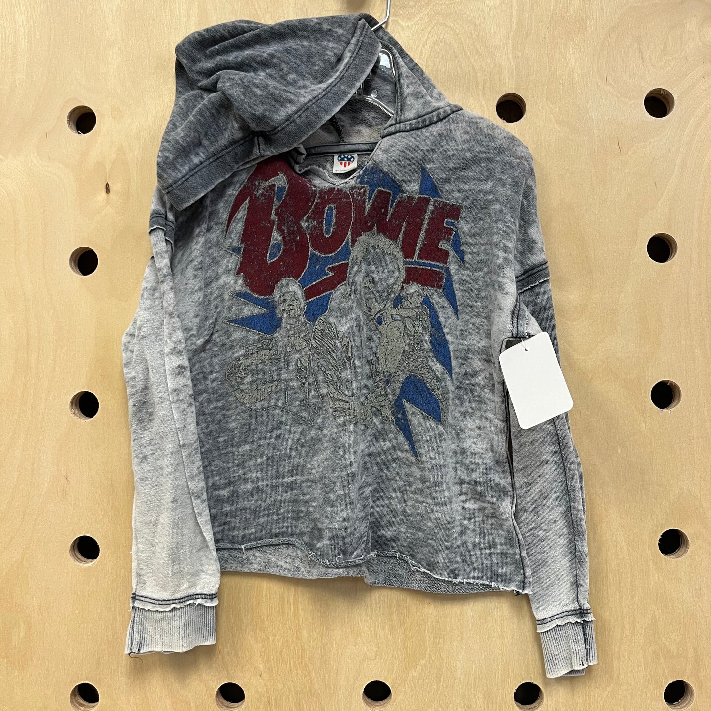 Grey Bowie Burnout Hoodie
