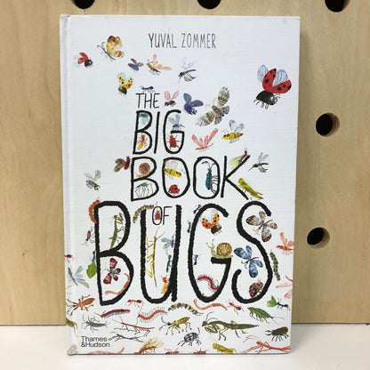 The Big Book of Bugs
