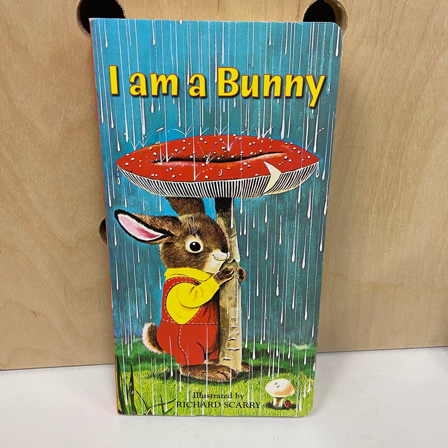 I Am A Bunny