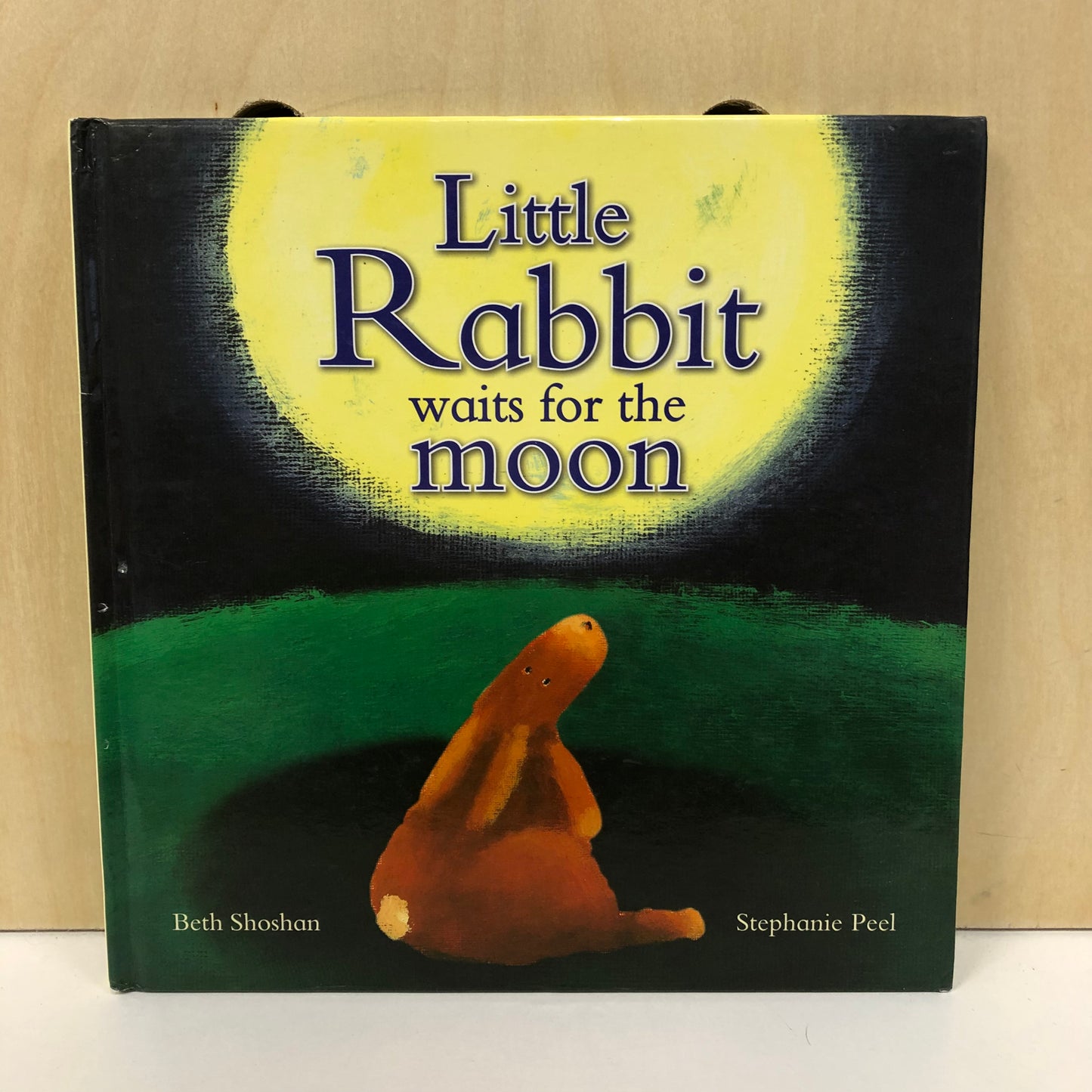 Little Rabbit Waits for the Moon