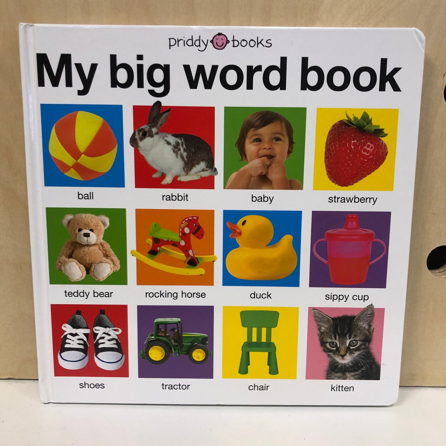 My Big Word Book
