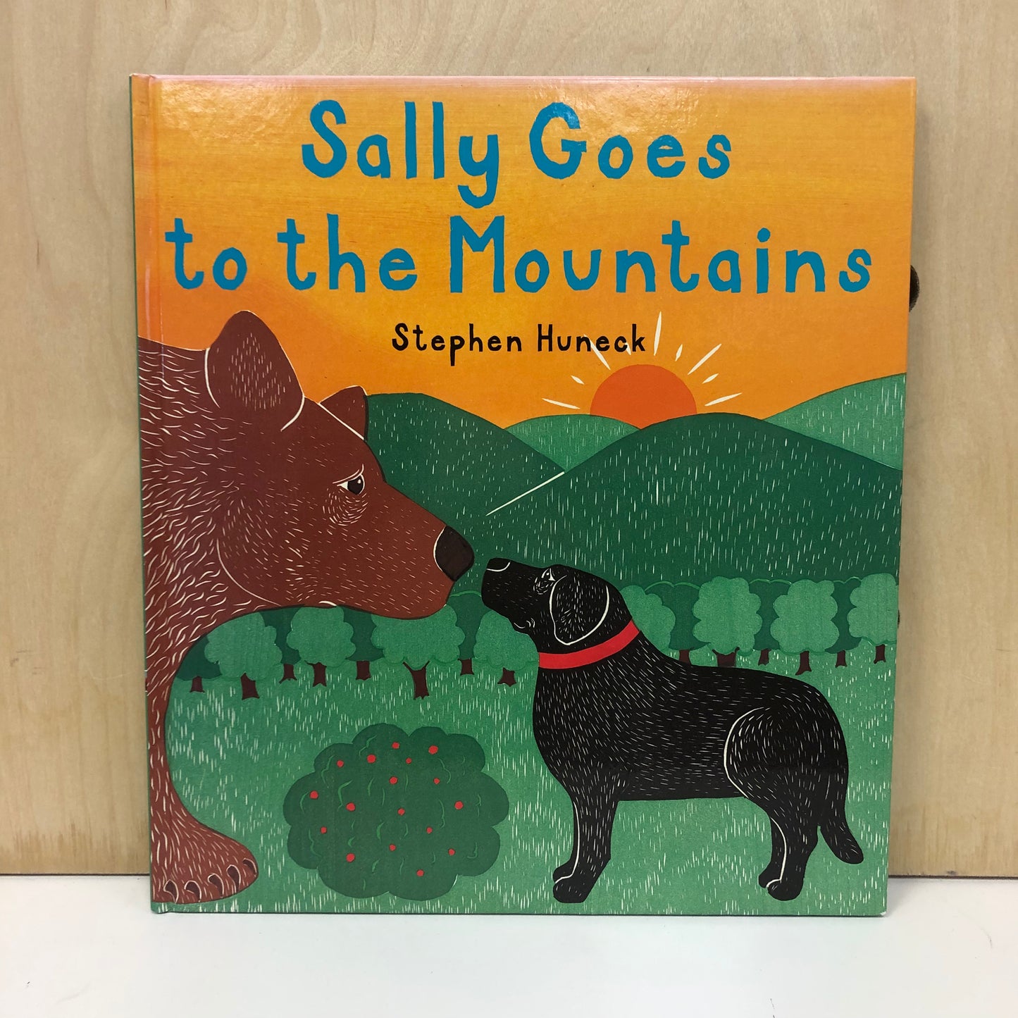 Sally Goes to the Mountains