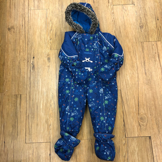 Blue Bear Snow Bunting Suit