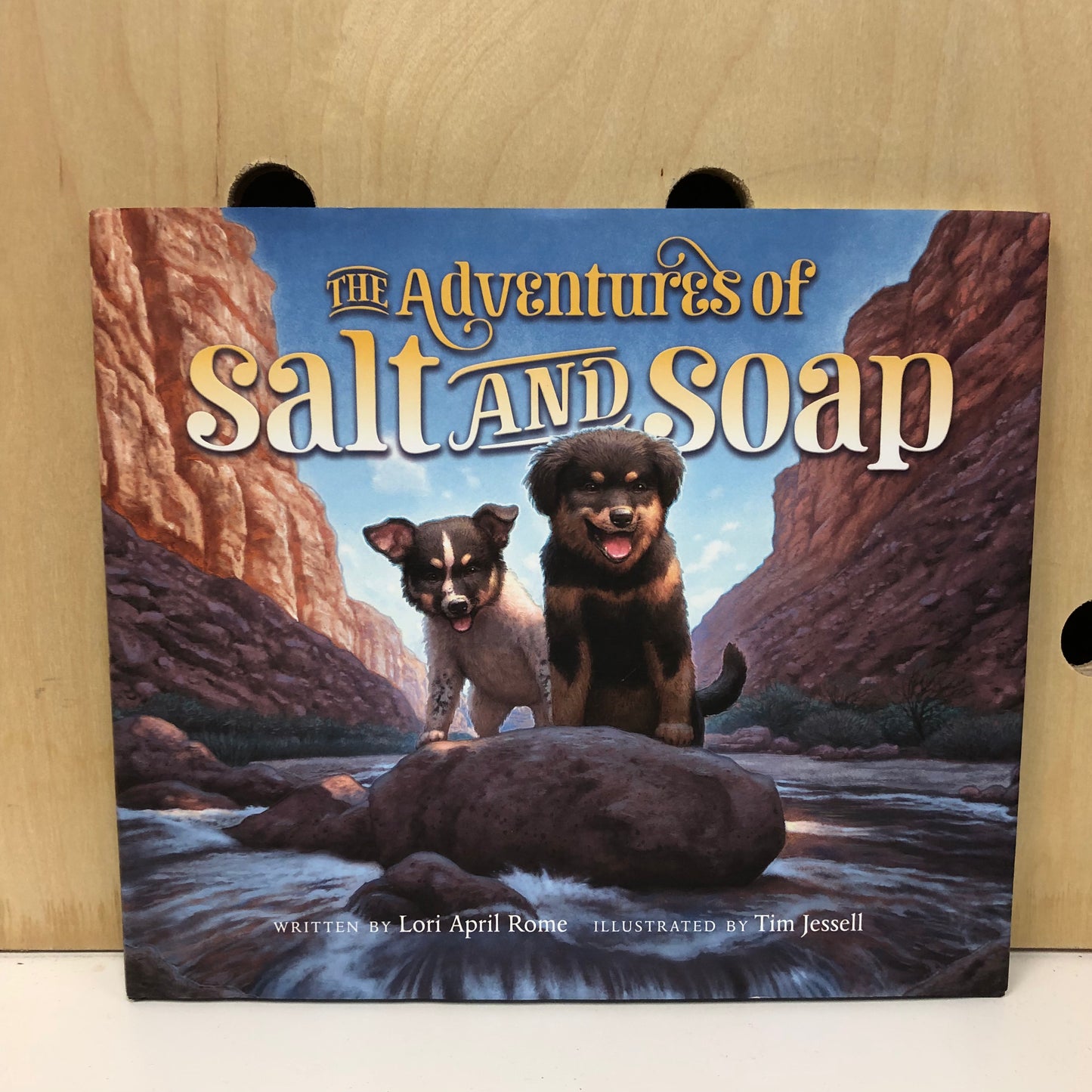 The Adventures of Salt and Soap