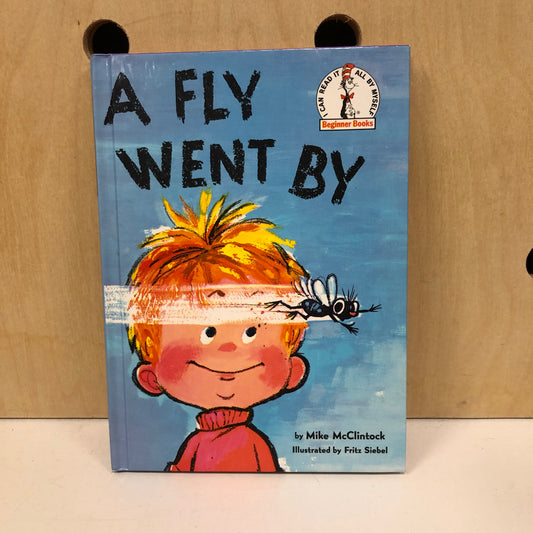 A Fly Went By