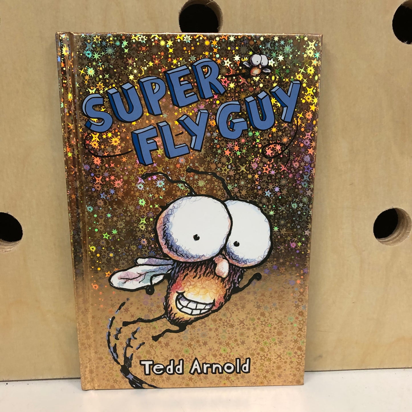 Super Fly Guy