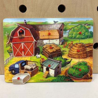 Hide n Seek Peg Puzzle