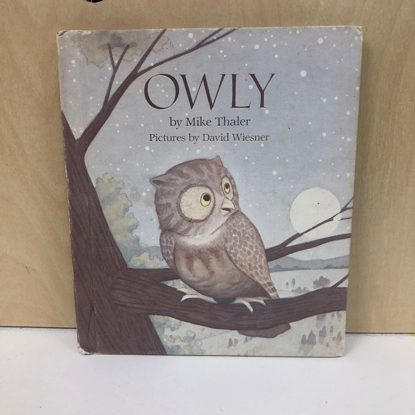 Owly