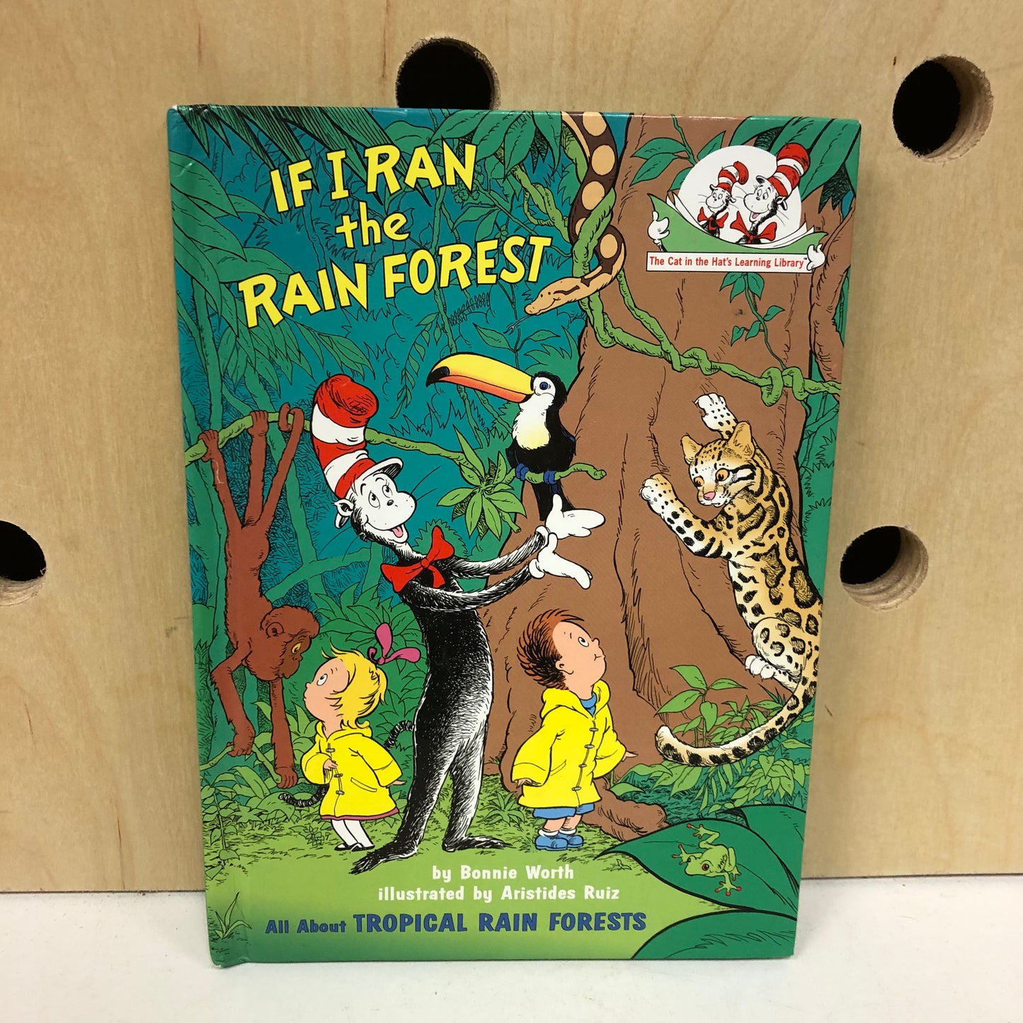 If I Ran the Rainforest