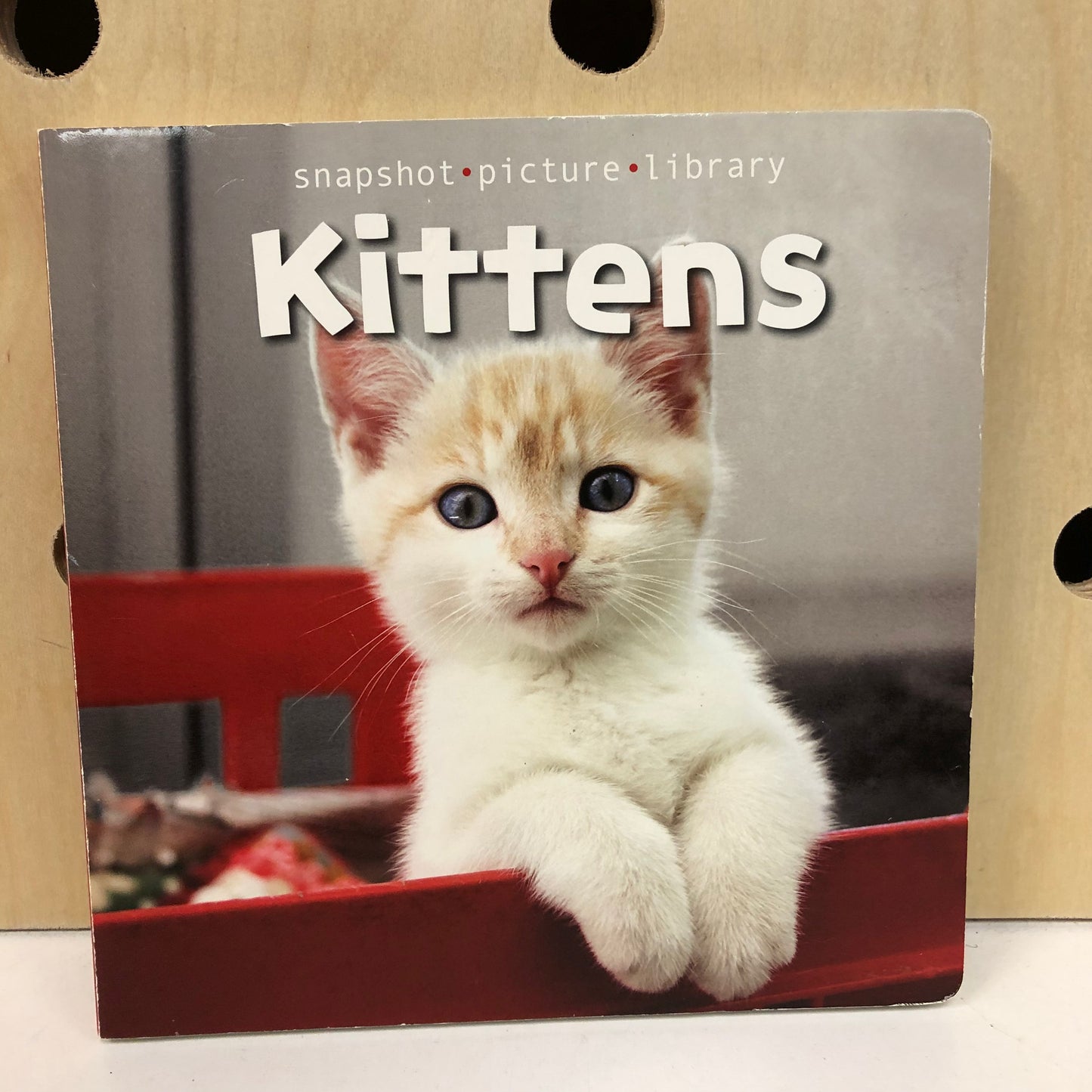Kittens