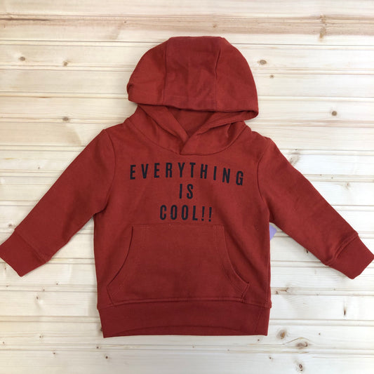 Everything is Cool Hoodie