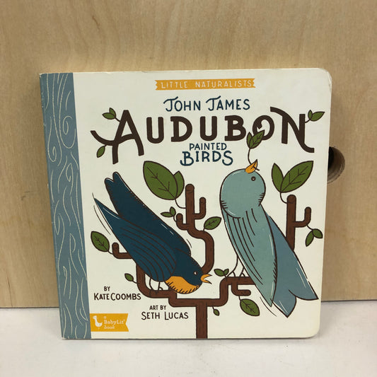 Audubon Painted Birds