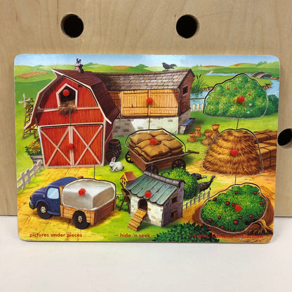 Hide n Seek Peg Puzzle