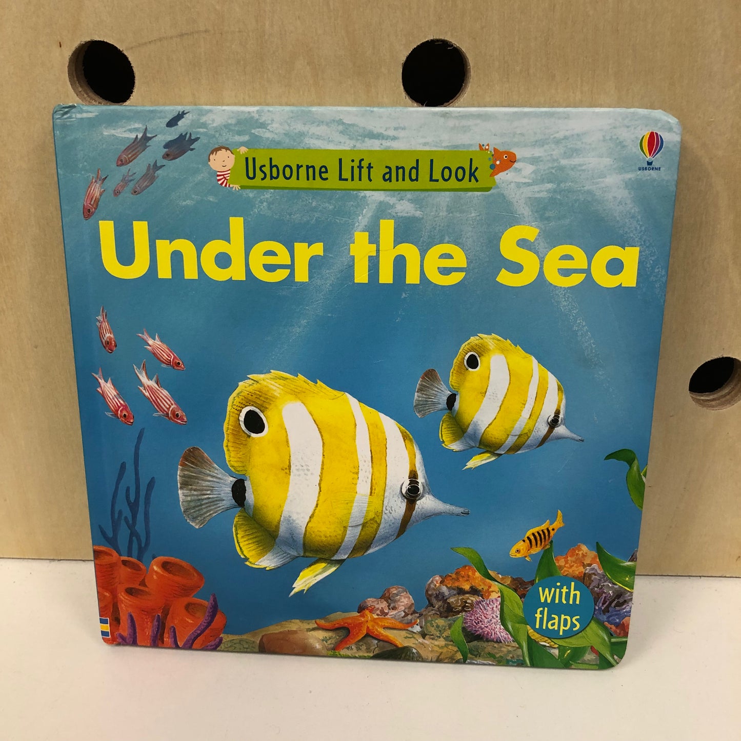 Under the Sea Lift & Look