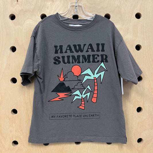 Grey Hawaii Summer Tee