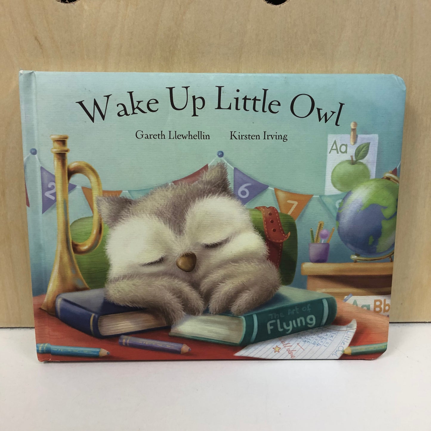 Wake Up Little Owl