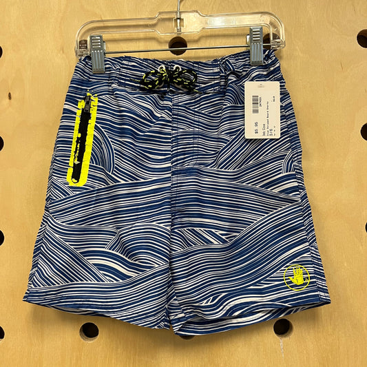Blue Striped Board Shorts